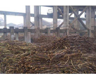 廣西來賓某堿氯法甘蔗渣制漿廠除COD、脫色案例分享